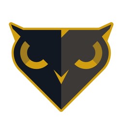 Black Owl Systems Inc. logo